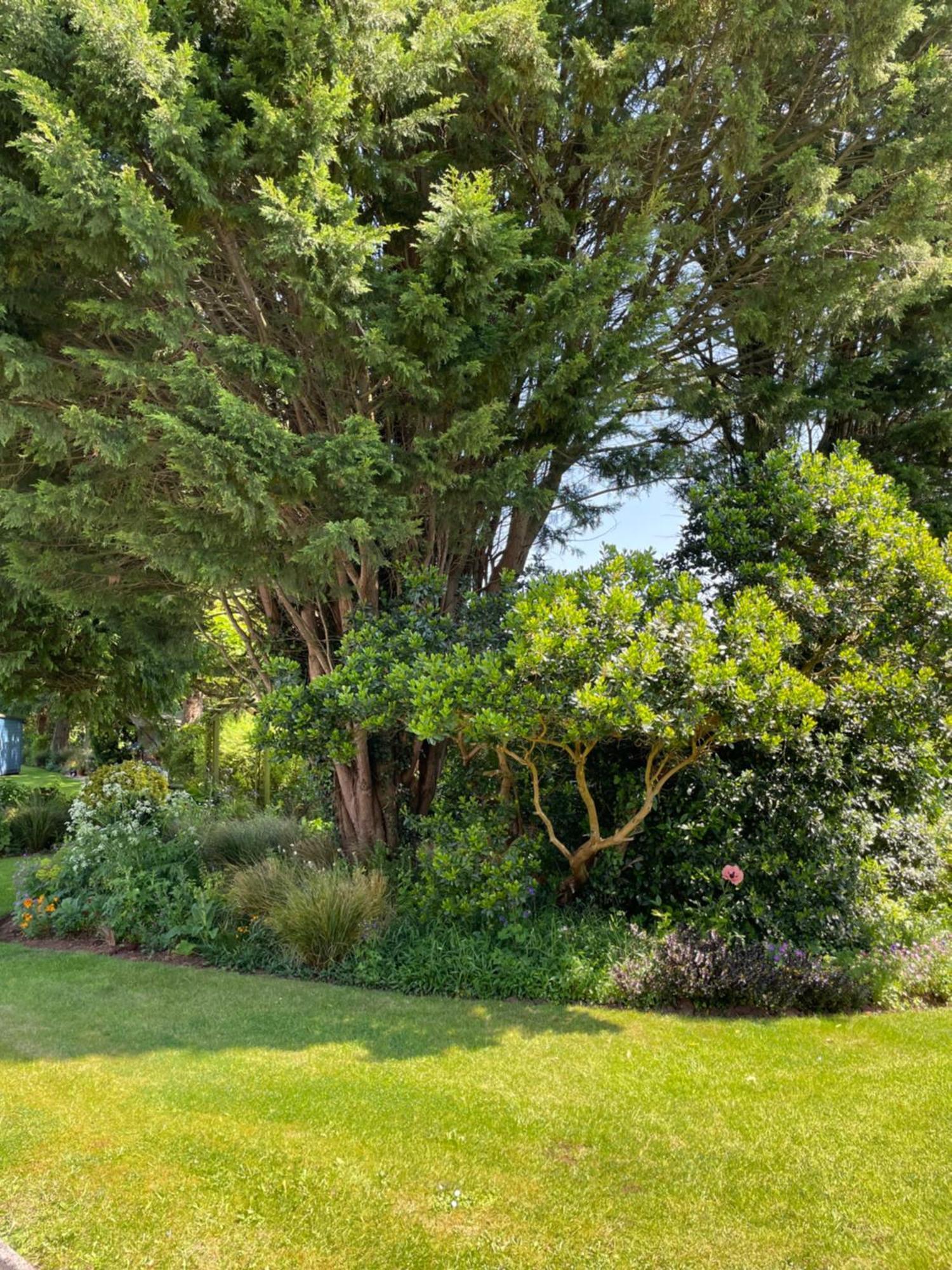 Leylands Annexe Villa East Harptree Exteriör bild